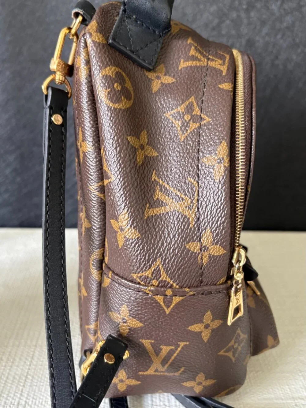 Louis Vuitton Palm Springs Mini Backpack